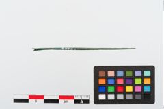 Foto von Bronzenähnadel (NHMW-PRAE-024263)